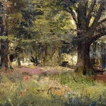 Beech trees in the Raven's Wood - James Cowper